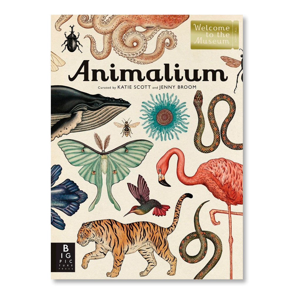 Animalium: Welcome to the Museum