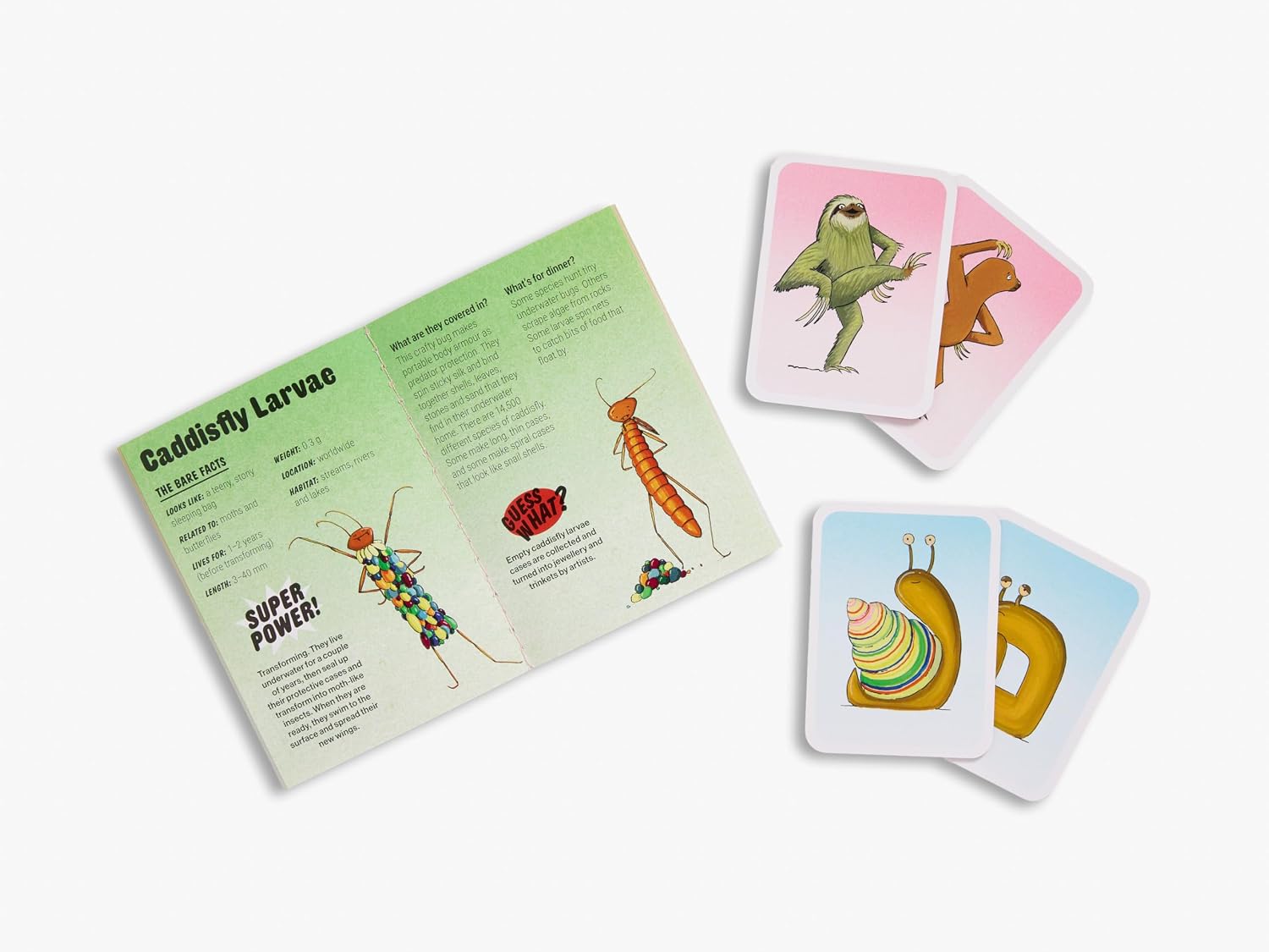 Animals in the Nude: Matching and Memory Game