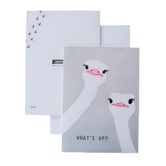 What's Up? Ostrich Greeting Card