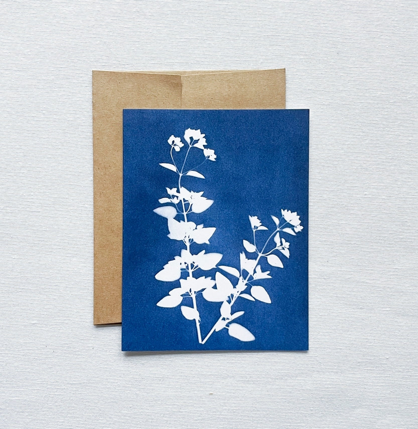 Oregano Botanical Cyanotype Blank Card