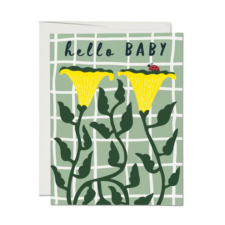 Ladybug Baby Greeting Card