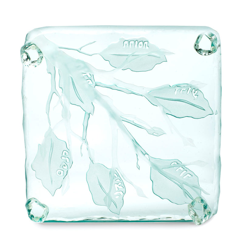 Etched Glass Seder Plate by Steve Resnick