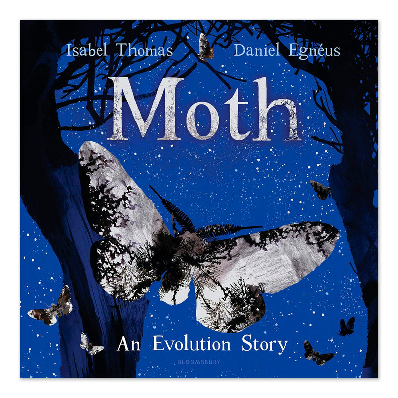 Moth: An Evolution Story