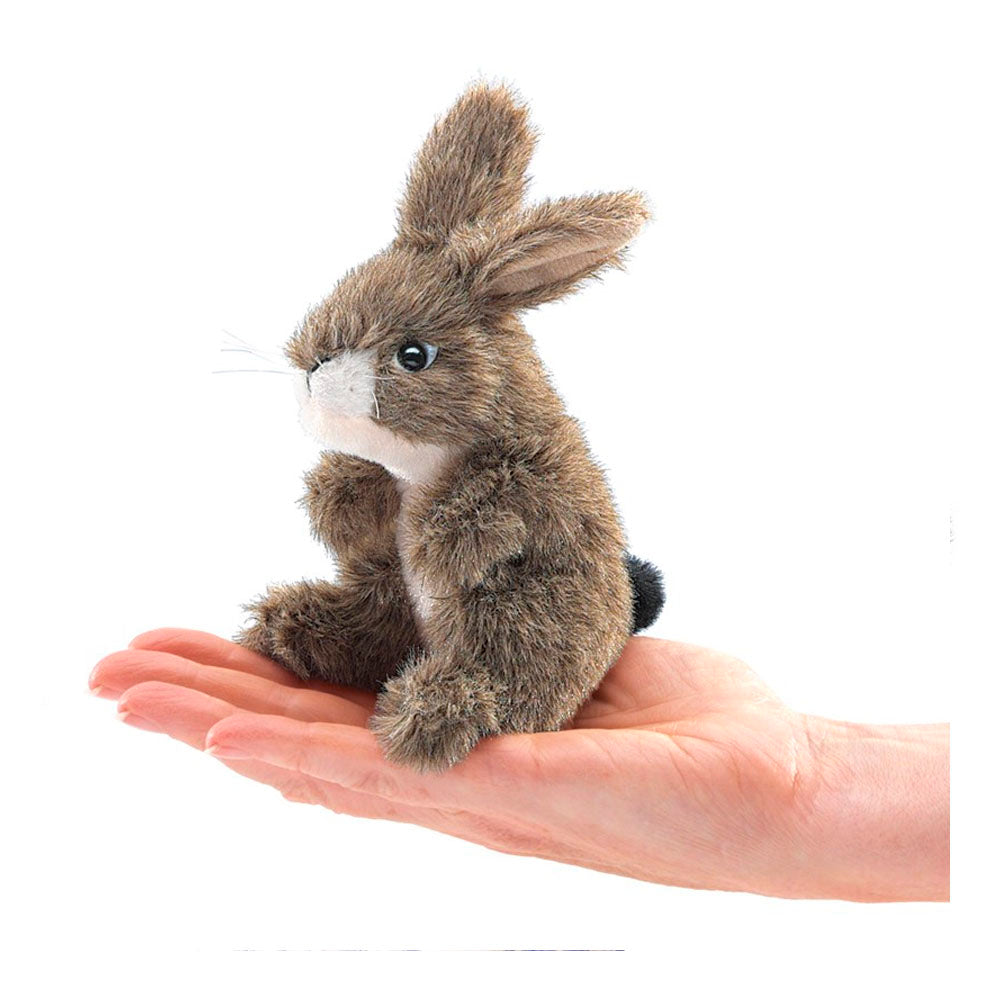 Mini Jack Rabbit