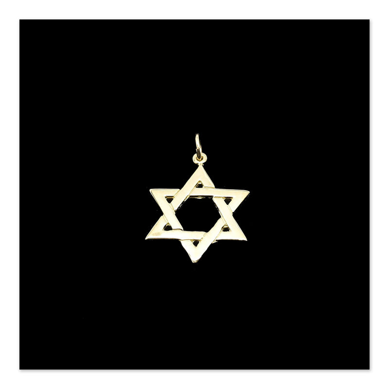 Pendant- Woven Star of David in 14K Gold