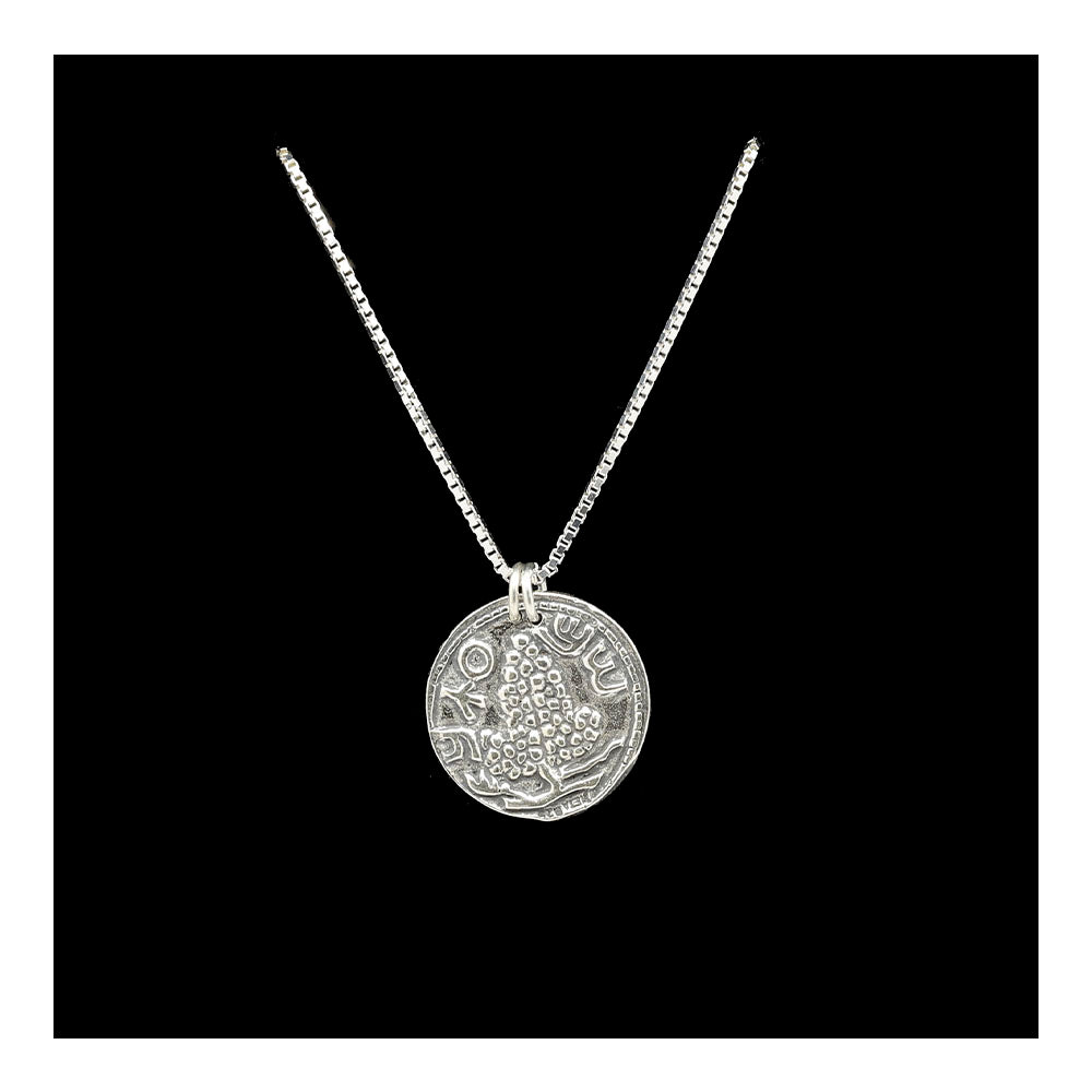 Buy Silver Kuber Coin Necklace Online - Unniyarcha
