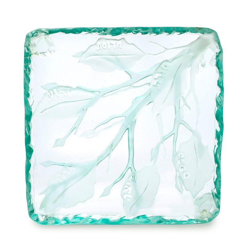 Etched Glass Seder Plate by Steve Resnick