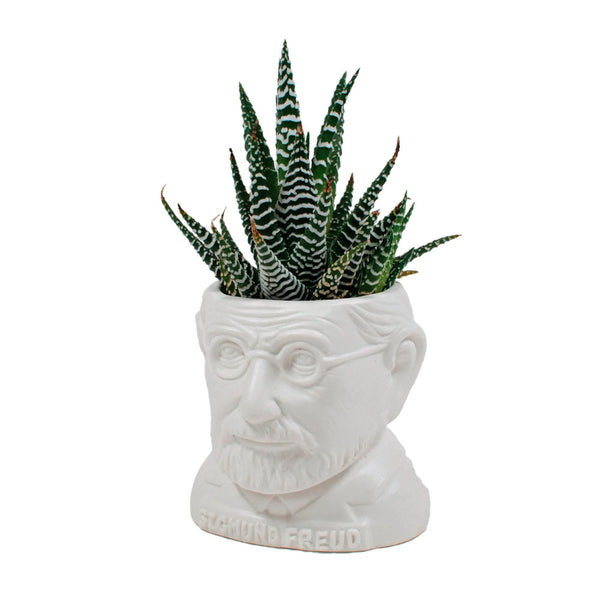 Sigmund Freud Bust Planter