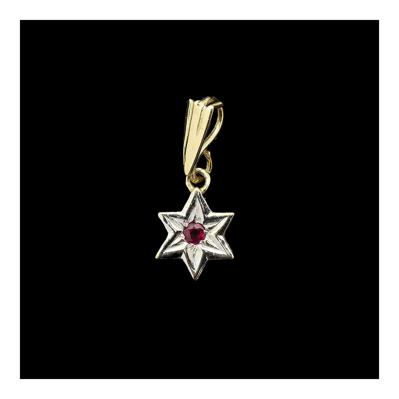 Pendant- Star of David with Ruby on 14K Gold